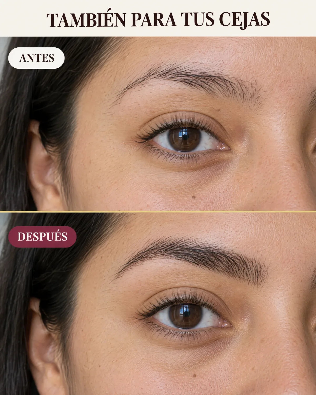 Serum Up Luxe Cejas